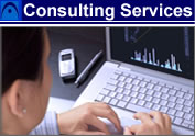 Consulting Services